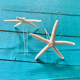 Starfish Jewel Bobby Pin