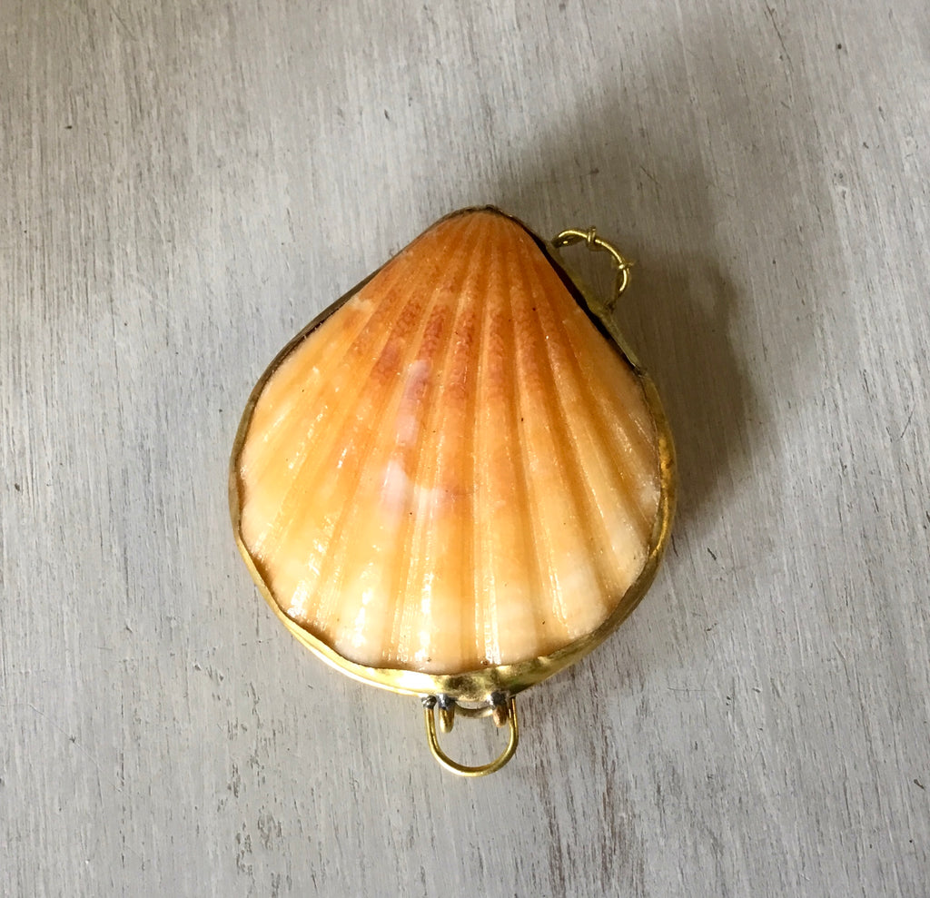 Sea Shell Coin Seashell Coin Purse β Sea Things Ventura