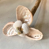 Windmill Abalone Bloom