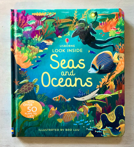 Look Inside Seas and Oceans Children's Book