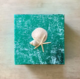 Seashell Milled Paper Gift Boxes
