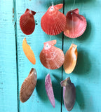 Rainbow Scallop Windchime