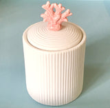 Coral Top Porcelain Jar