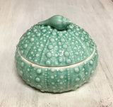 Seashell Sea Urchin Box