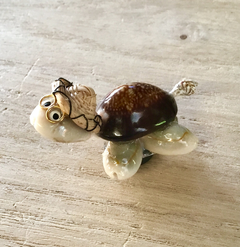 Sea Shell Lucky Lucky Seashell Turtle – Sea Things Ventura