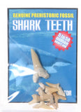 Fossil Shark Teeth Pack