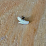 Shark Tooth Stud Earrings