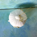 Cinderella Sea Urchin Carriage Ornament