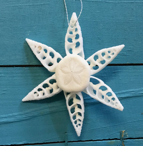 Snowflake Sandollar Star