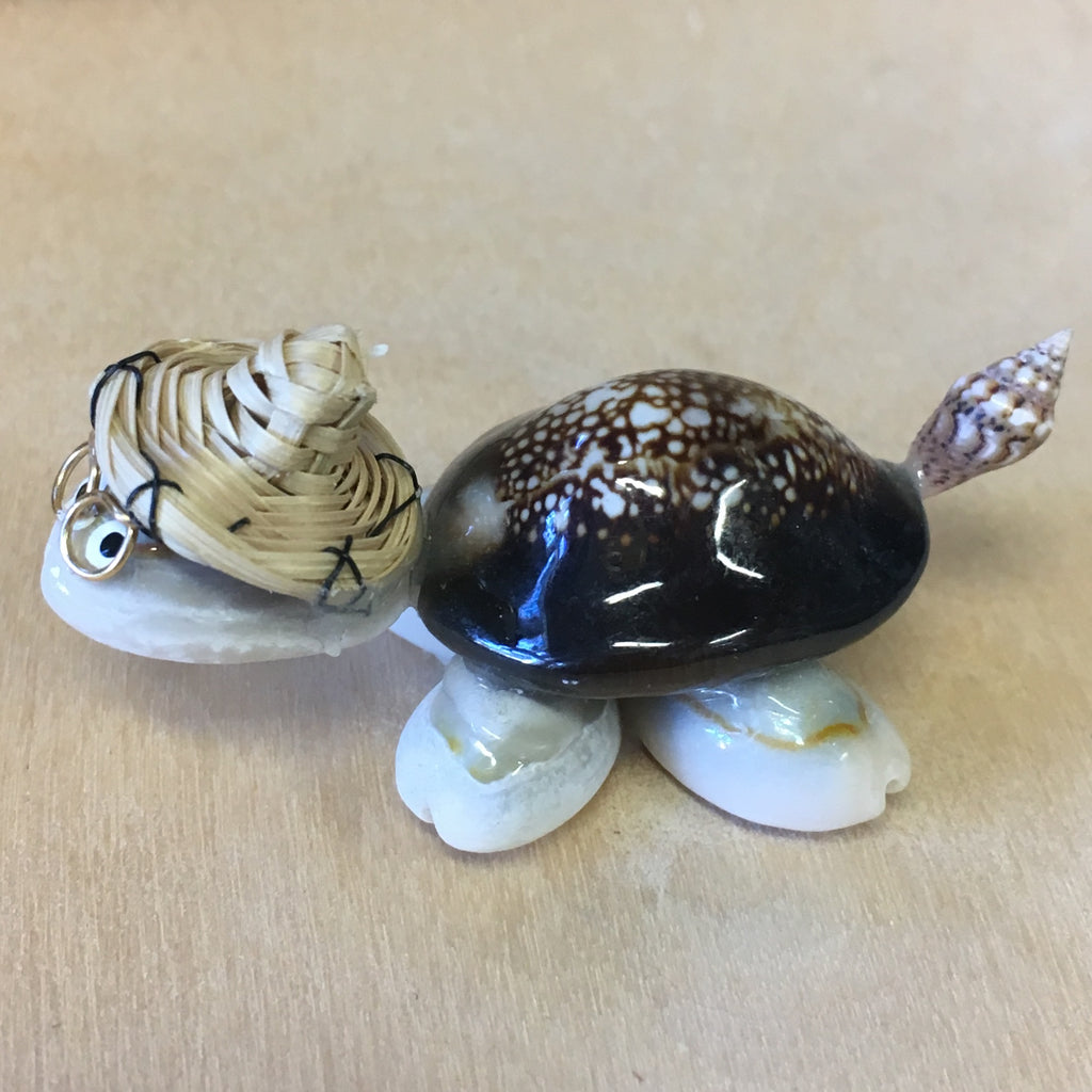 Lucky Seashell Turtle – Sea Things Ventura