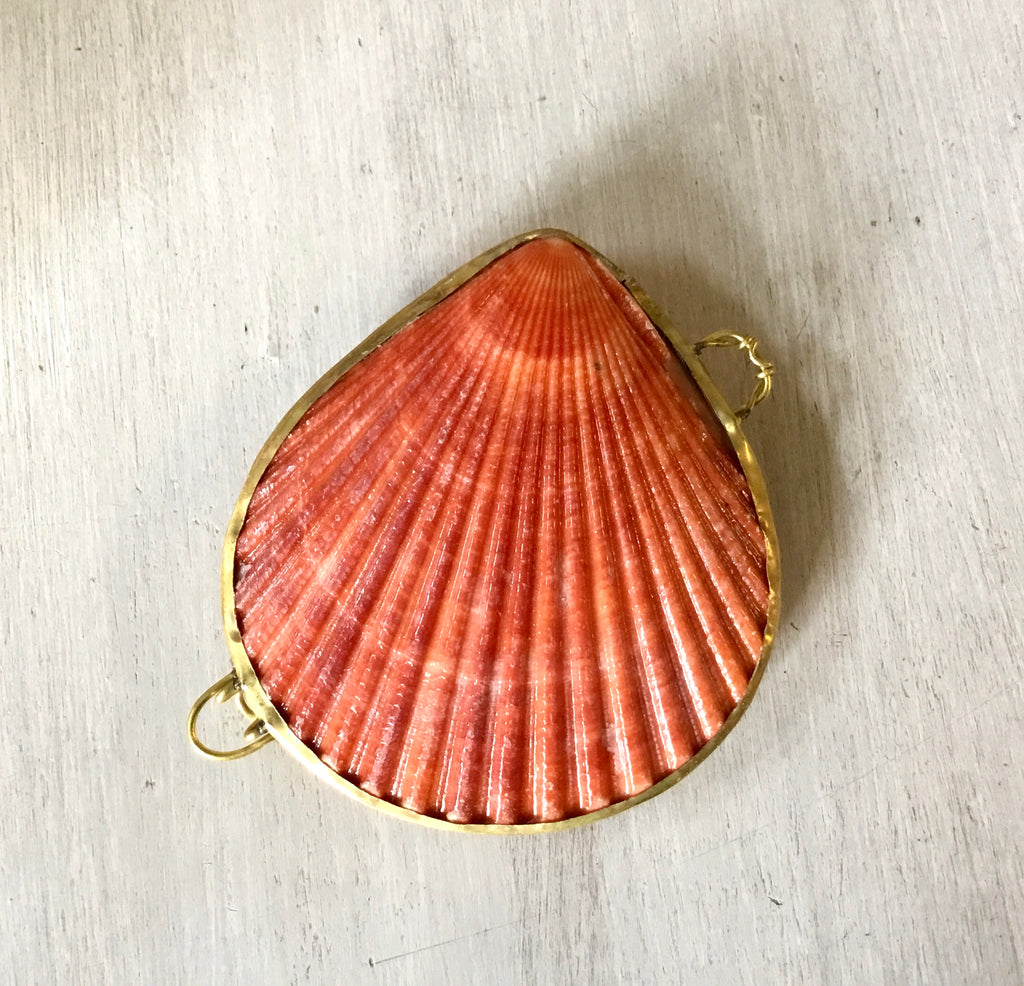Victorian Shell Purse Real Clam Shell Coin Purse With Blue - Etsy UK | Shell  purse, Clam shell, Shells