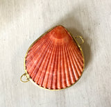 Seashell Coin Purse