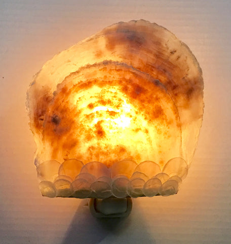 Fish Scale Capiz Nightlight