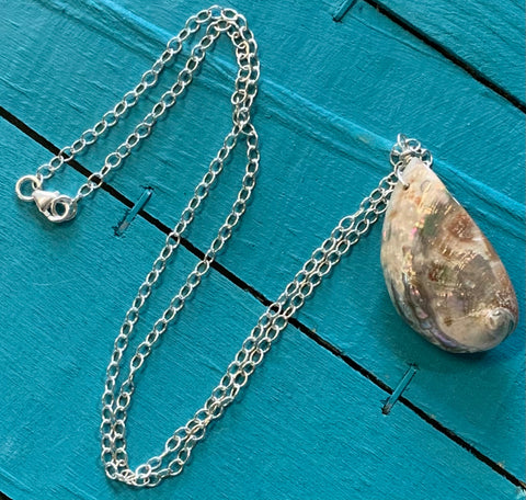 Whole Abalone Chain Necklace