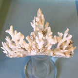Ocean Coral Tiara