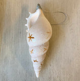 Twinkle Star Tibia Shell Ornament