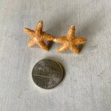 Sparkle Starfish Stud Earrings