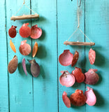 Rainbow Scallop Windchime