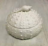 Seashell Sea Urchin Box