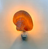 Natural MOP Shell LED Nightlight