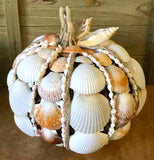 Seashell Harvest Pumpkin