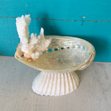 Abalone Coral Jewelry Tray
