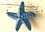 Colorful Starfish Knob