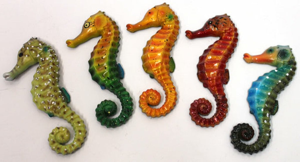 Colorful Seahorse Magnet