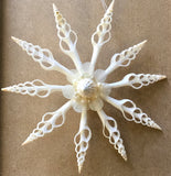 Seashell Snowflake Ornament