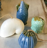 Sea Life Ceramic Air Plant Holder