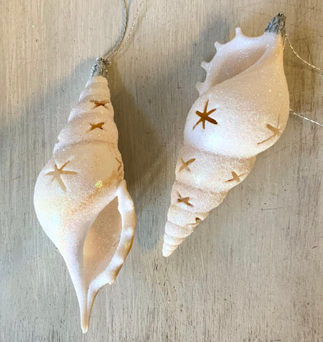 Twinkle Star Tibia Shell Ornament