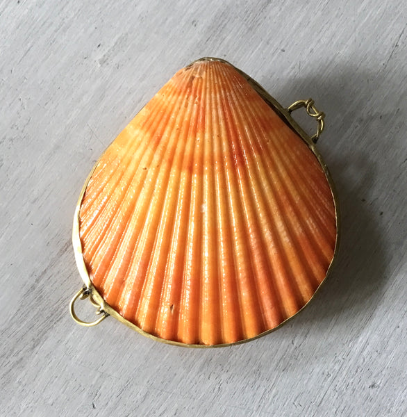 Sea Shell Coin Seashell Coin Purse β Sea Things Ventura