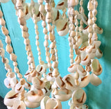 Seashell Chandelier