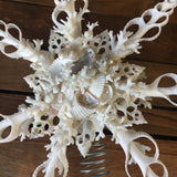 White Coral Star Tree Top