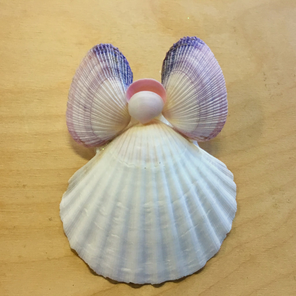 Purple Clam Winged Angel – Sea Things Ventura