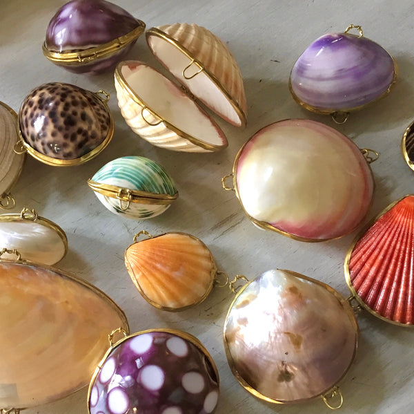 Sea Shell Coin Seashell Coin Purse β Sea Things Ventura