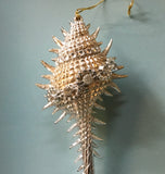 Jeweled Spindle Shell Ornament