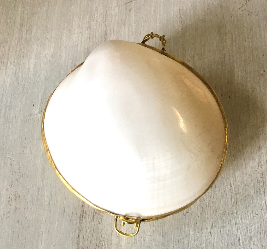 Antique Mother Of Pearl Clam Shell Miniature Purse – Attic and Barn  Treasures