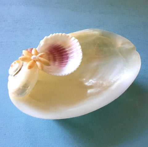 Tropical Pearl Clam Ring Dish