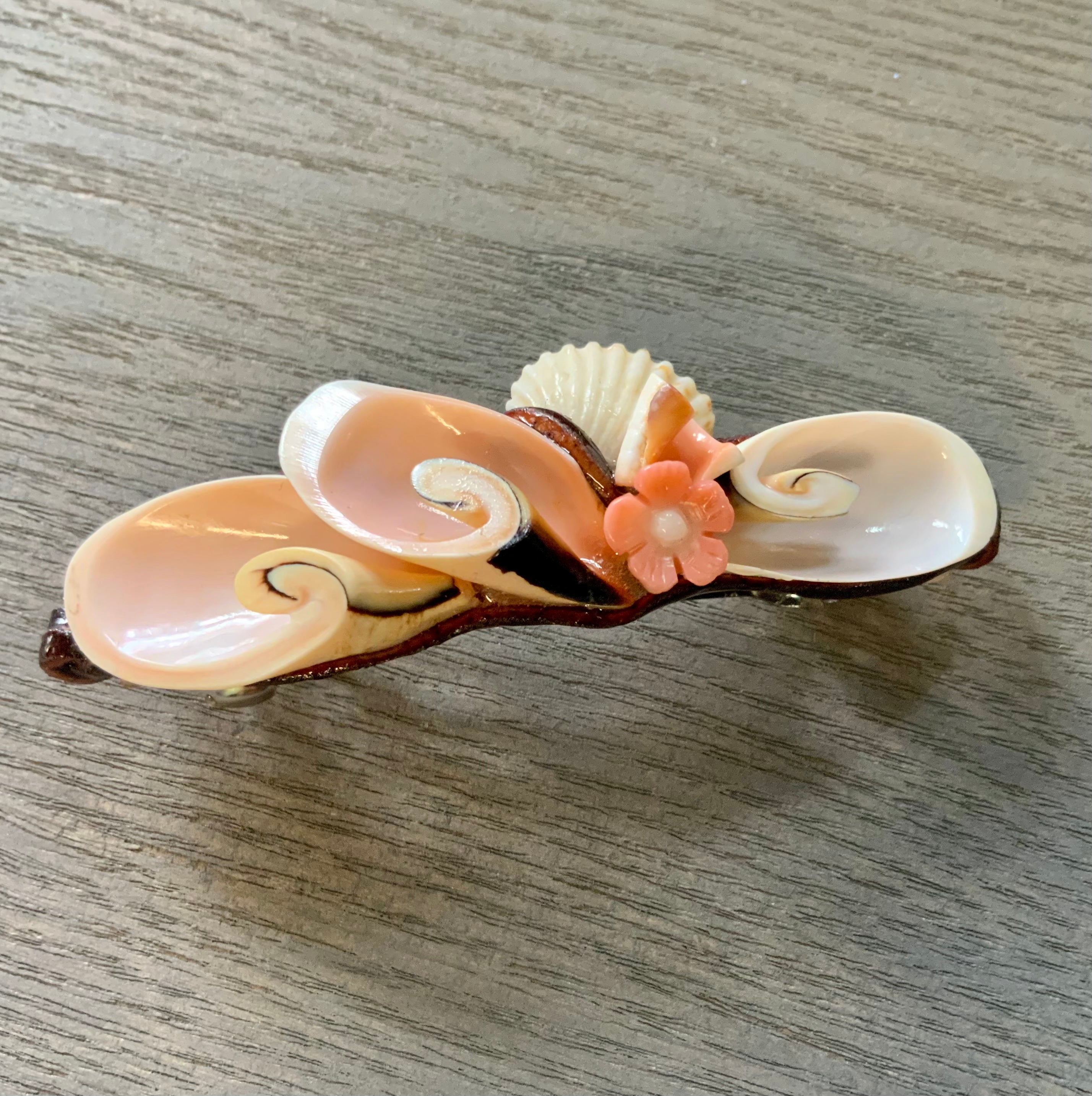 Small Shell Hair Clips Shell Hair Clips