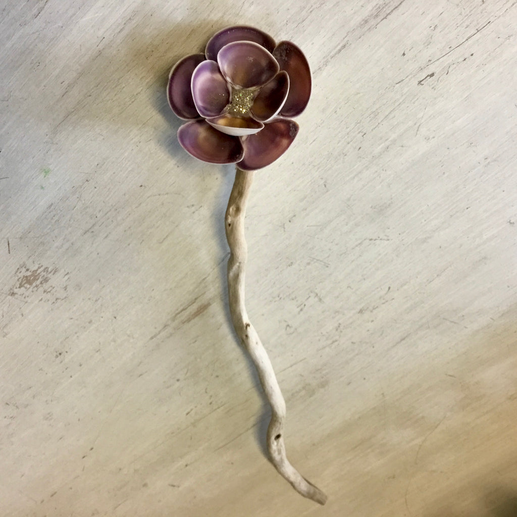 Purple Clam Shell Flower