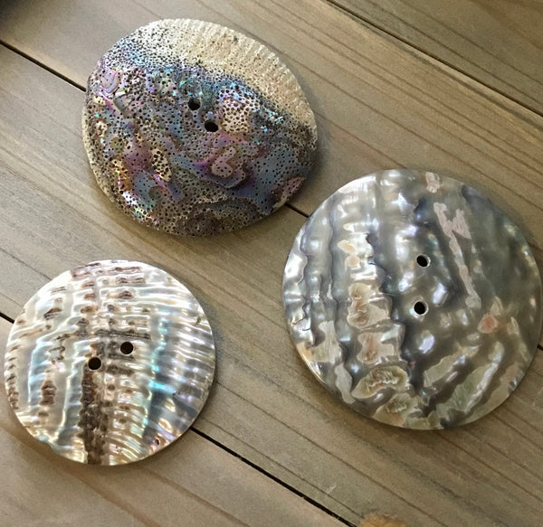 Abalone Shell Button – Sea Things Ventura