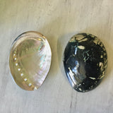 Polished Black & White Abalone