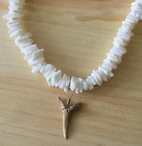 Puka shell necklace 2025 with shark tooth