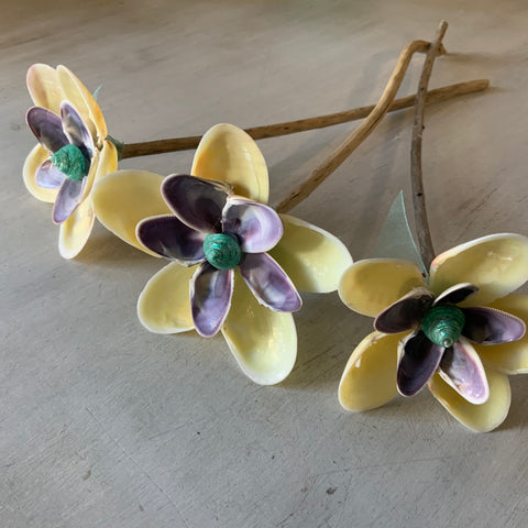 Purple Passion Flower