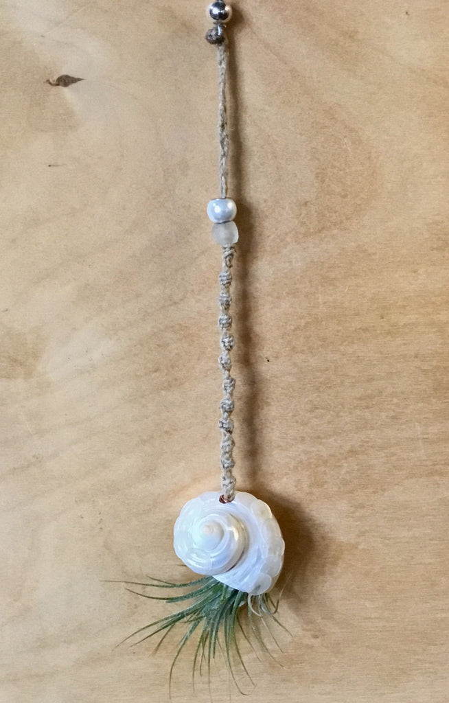 sea shell plant hanger Seashell Car Charm Air Plant Hanger – Sea Things Ventura
