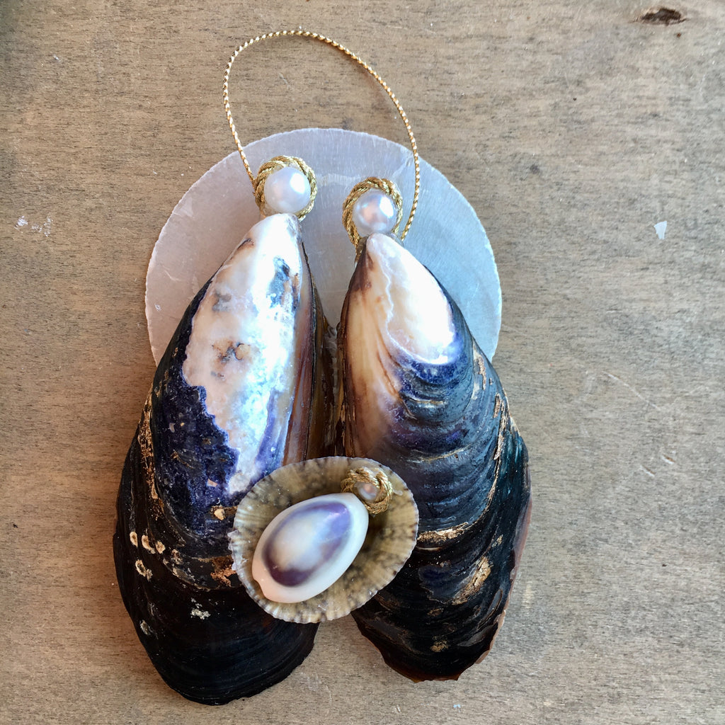 Shell Manger Mussel Shell Manger – Sea Things Ventura