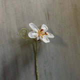 Sliced Shell Flower