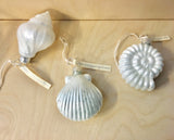 Shiny Seashell Ornaments