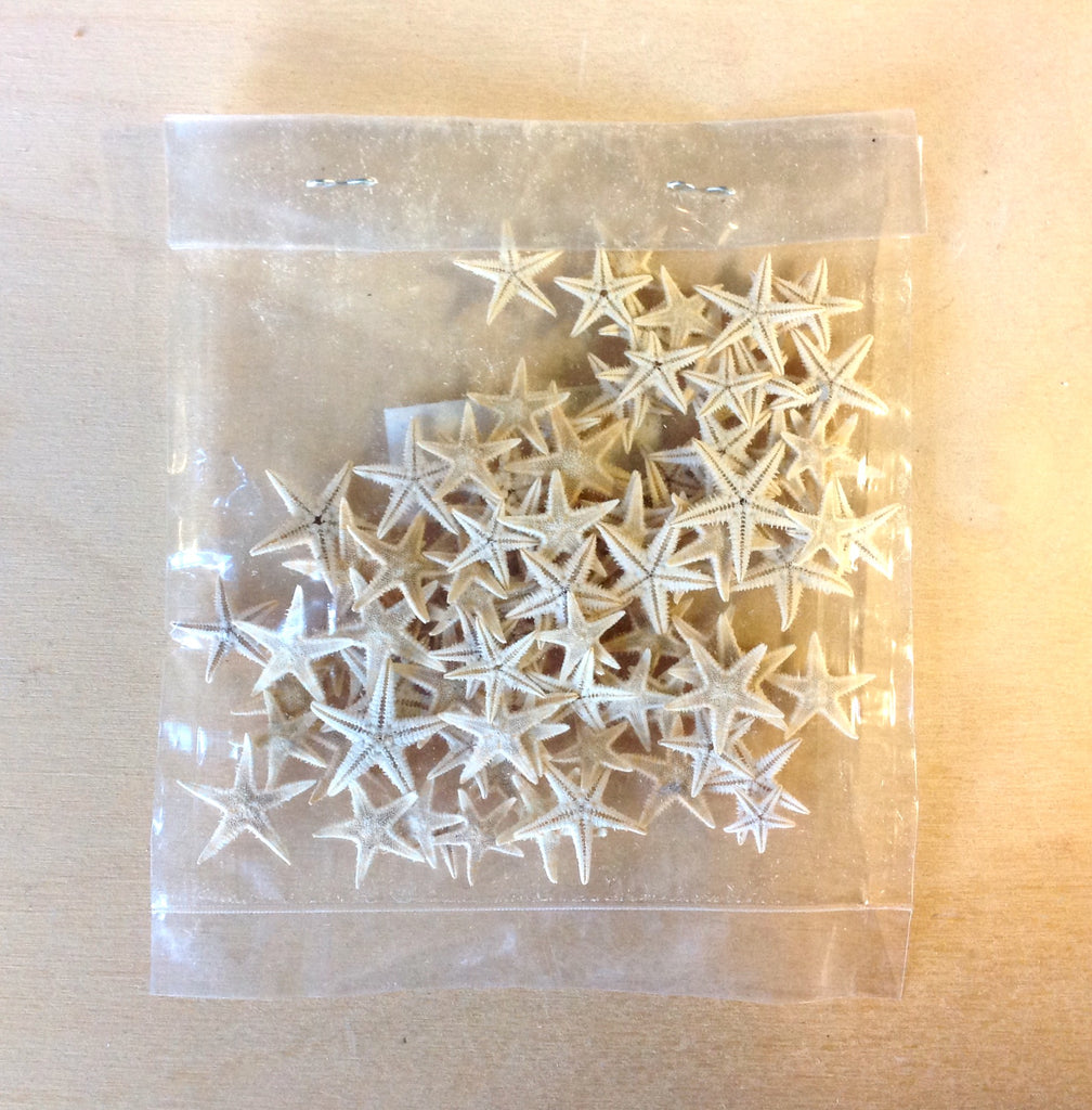 Mini Starfish Pack